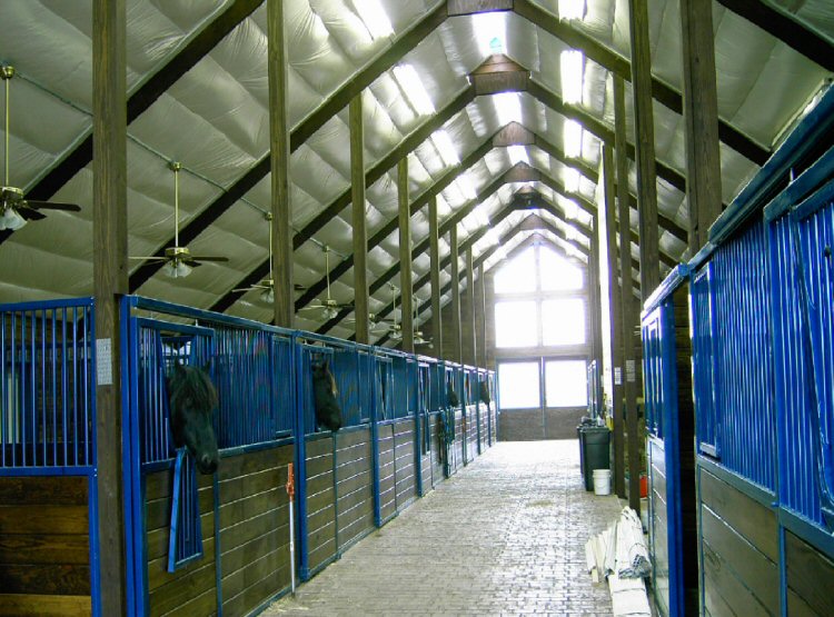 Horse Stall